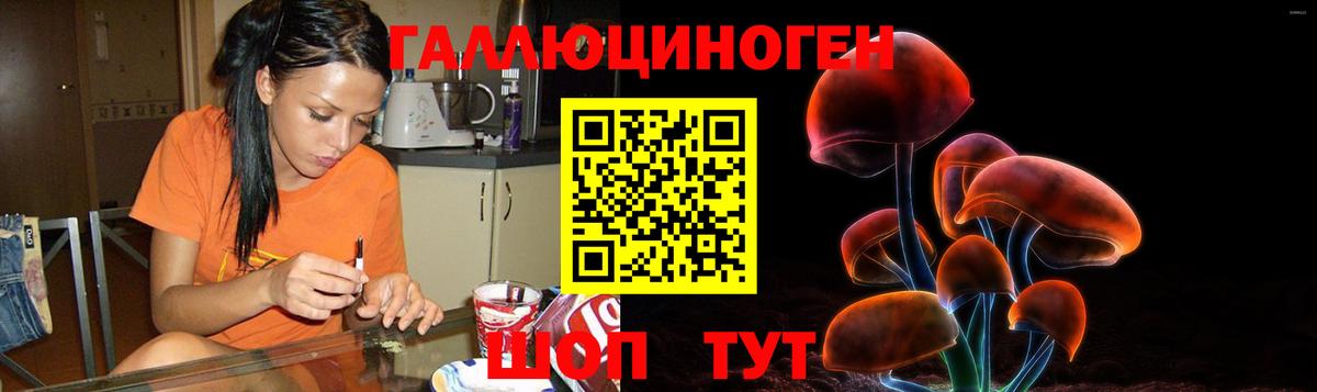Мурино  Псилоцибиновые грибы Psilocybine cubensis  Галлюциногенные грибы Psilocybe  Вход с VPN 